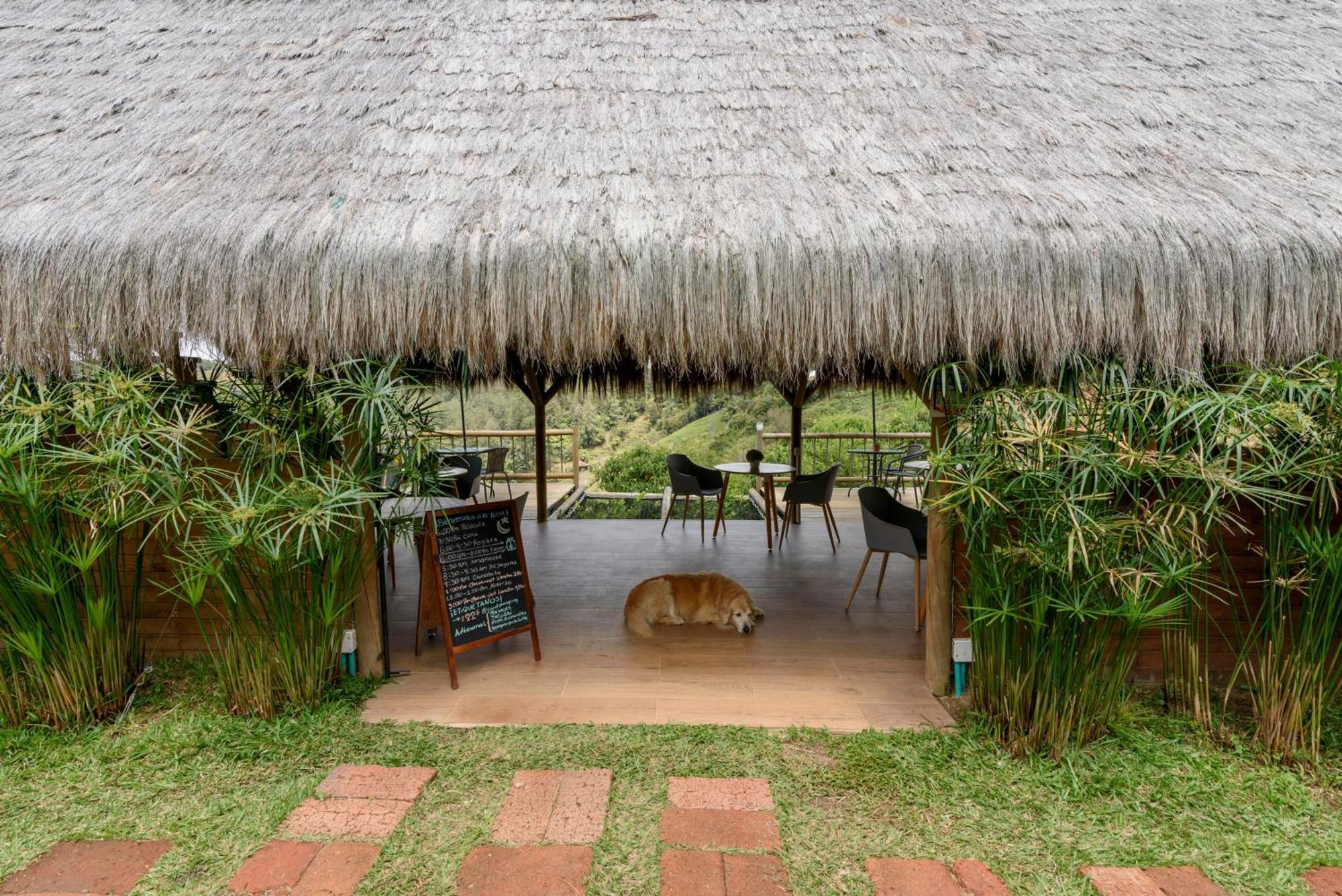 Levit Glamping - Hotel Guatape Penol (Adults Only) Zewnętrze zdjęcie
